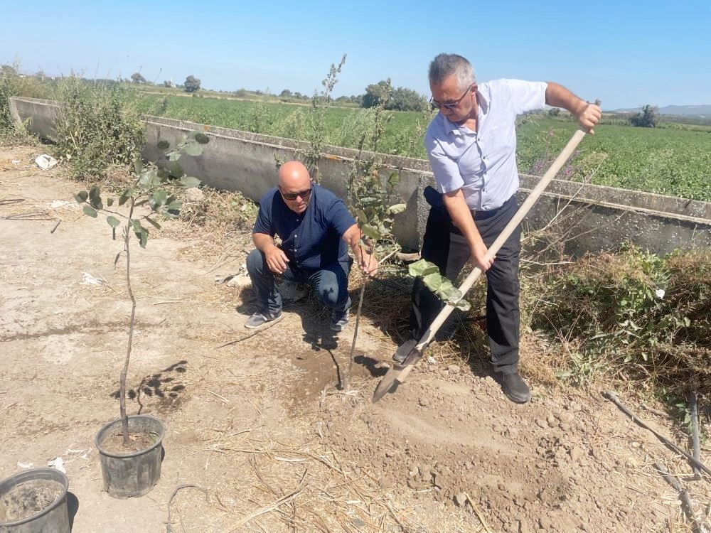 ‘AĞAÇÇI HOCA’DAN YAMANLI’DA ÖRNEK DAVRANIŞ