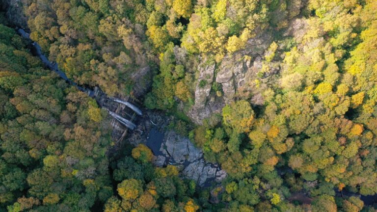 YEŞİL VE SARININ DANSI SUUÇTU ŞELALESİ’NDE