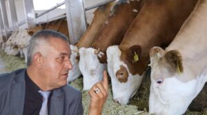 ‘ŞAP HASTALIĞI YAYILDI, ÜRETİCİ SAHİPSİZ BIRAKILDI’