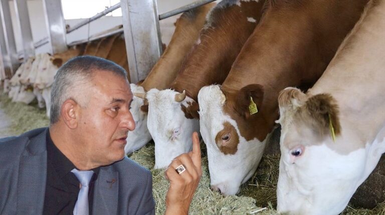 ‘ŞAP HASTALIĞI YAYILDI, ÜRETİCİ SAHİPSİZ BIRAKILDI’