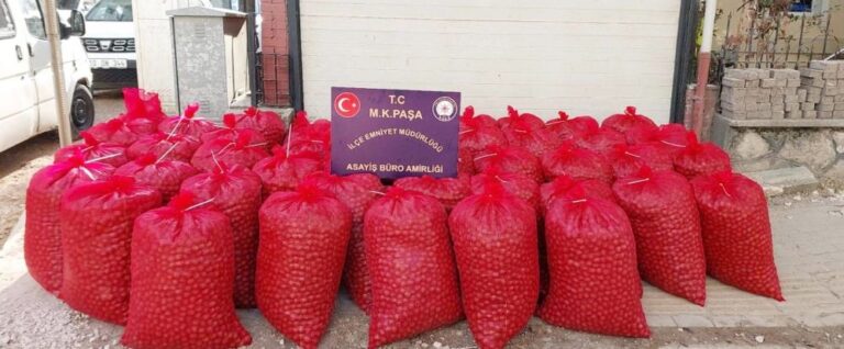 HIRSIZLAR ÇUVAL ÇUVAL CEVİZLE YAKALANDI