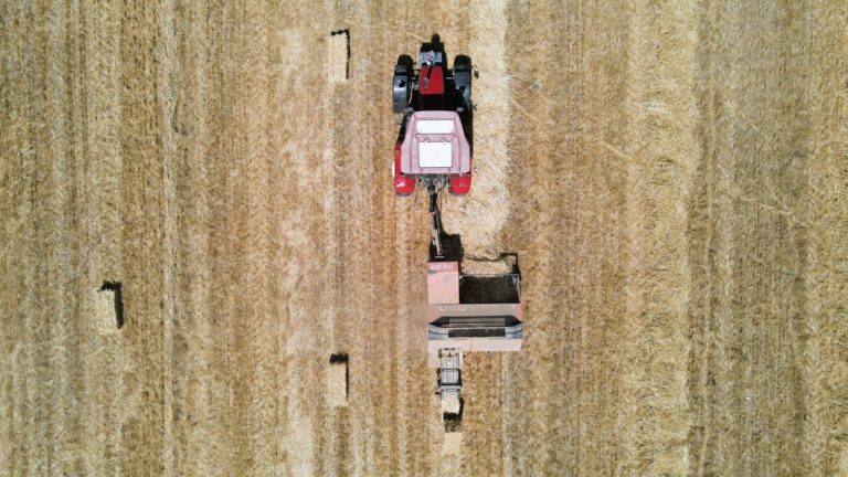 MUSTAFAKEMALPAŞA’DA 4 ÜRÜNE DESTEK