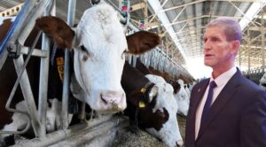 YENİDEN REFAH’TAN ‘ŞAP’ AÇIKLAMASI