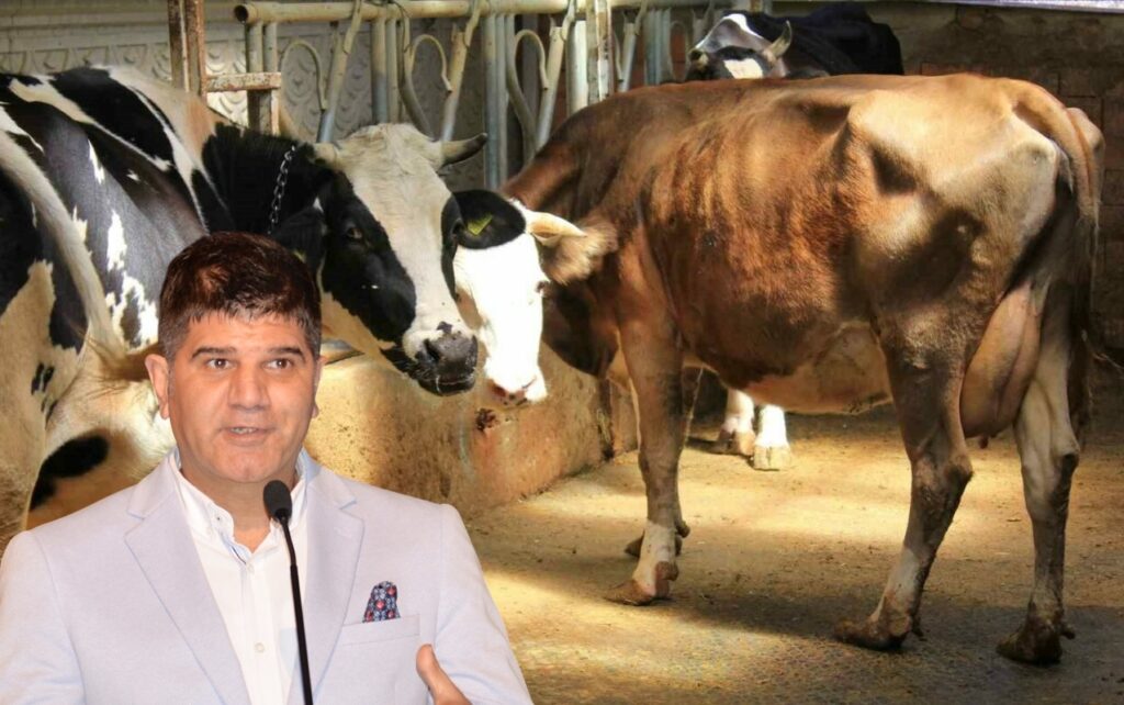 ‘DOMATES YEDİRMEKLE ŞAP ÖNLENMEZ’