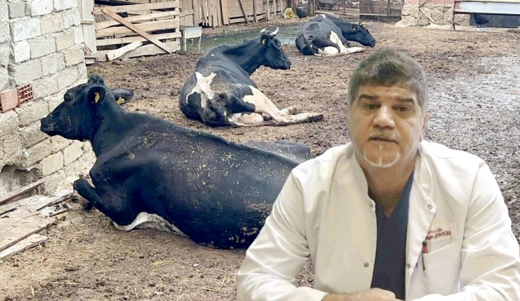 ‘ŞAP VİRÜSÜ YENİ VARYANTLARLA GÜNCELLENİYOR’