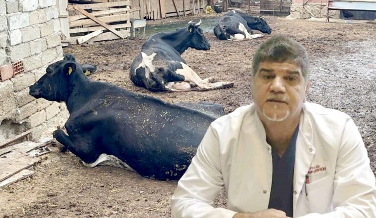 ‘ŞAP VİRÜSÜ YENİ VARYANTLARLA GÜNCELLENİYOR’