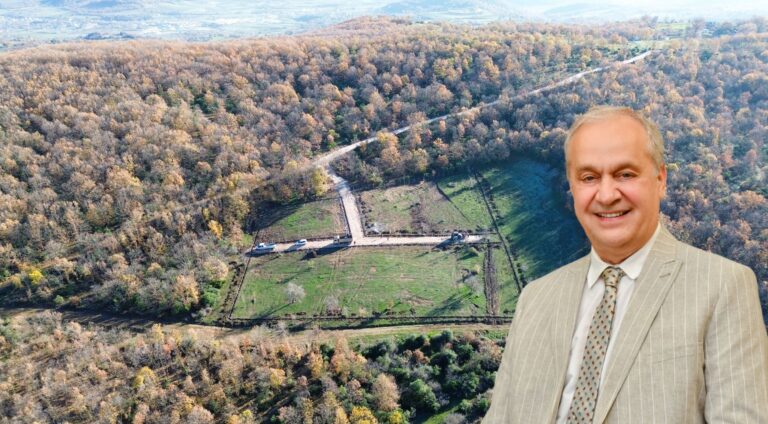 BELEDİYEDEN SAHİPSİZ HAYVANLARA YENİ ALAN