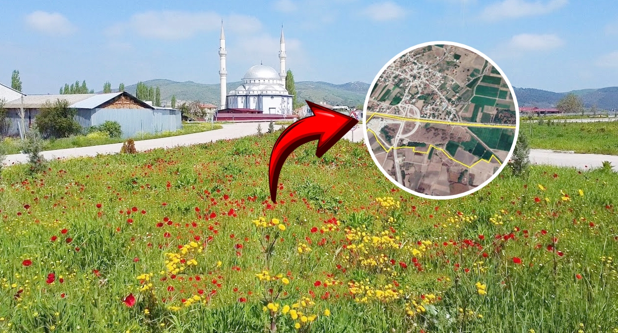 GÜLLÜCE DOSYASI BÜYÜKŞEHİR GÜNDEMİNDE