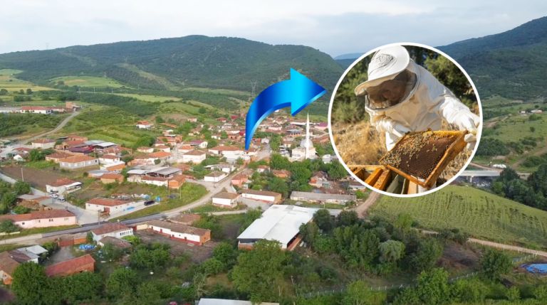 MUSTAFAKEMALPAŞA’DA ‘BAL ORMANI’ ATAĞI