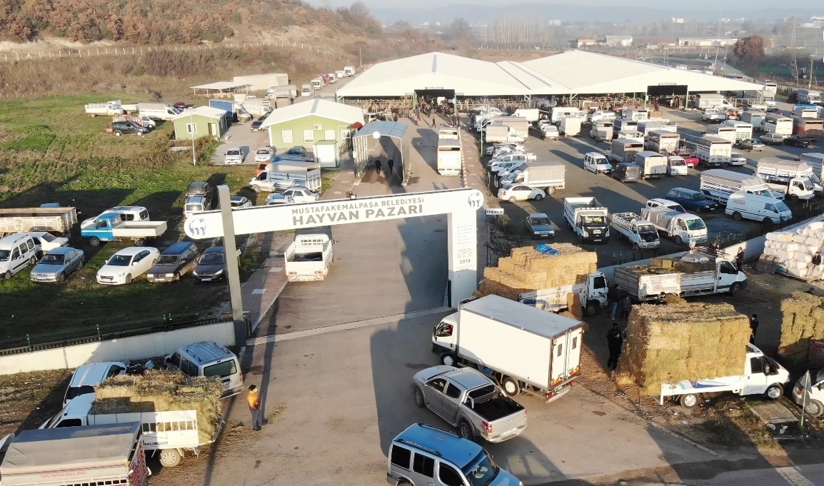 HAYVAN PAZARI 9 AY SONRA KAPILARINI AÇIYOR