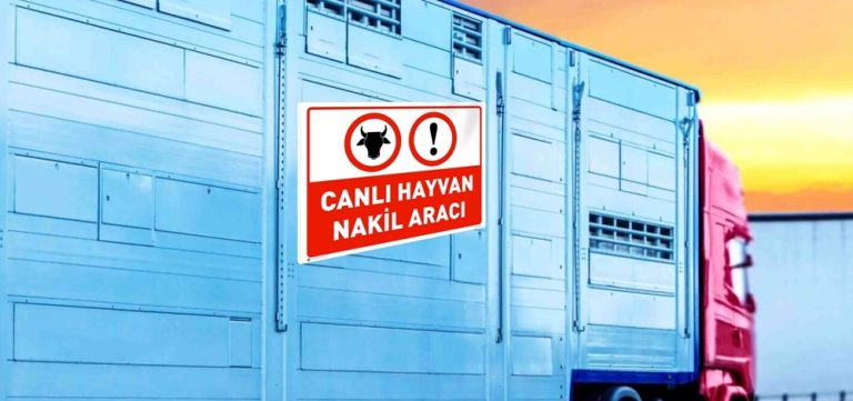 HAYVAN TAŞIMACILARINA ‘BELGE’ EĞİTİMİ VERİLECEK
