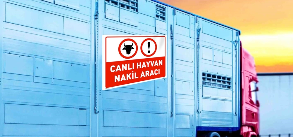 HAYVAN TAŞIMACILARINA ‘BELGE’ EĞİTİMİ VERİLECEK