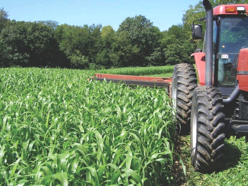 MUSTAFAKEMALPAŞA ÜRETİCİSİNE SORGUM HİBESİ