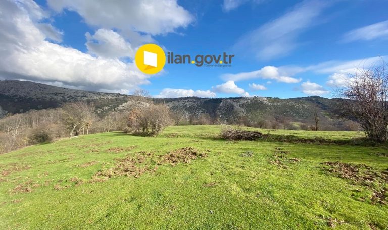 MAHKEMEDEN SATILIK TARIM ARAZİSİ